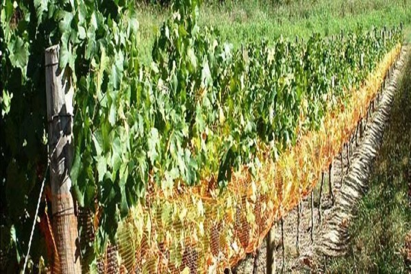 Vine Net Services Trading As Vinnet