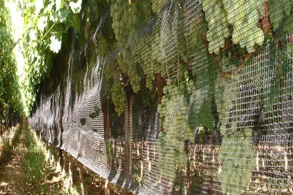 Vine Net Services Trading As Vinnet