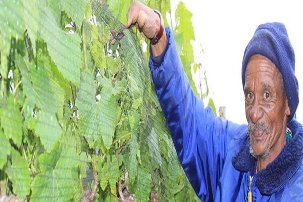 Vine Net Services Trading As Vinnet
