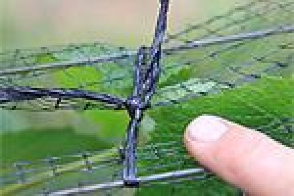 Vine Net Services Trading As Vinnet