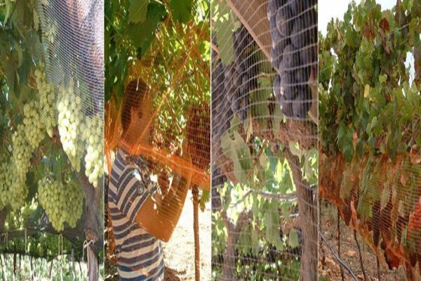 Vine Net Services Trading As Vinnet