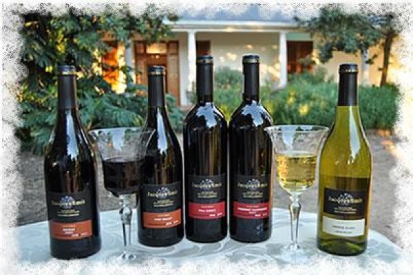 Vines 2 Wine