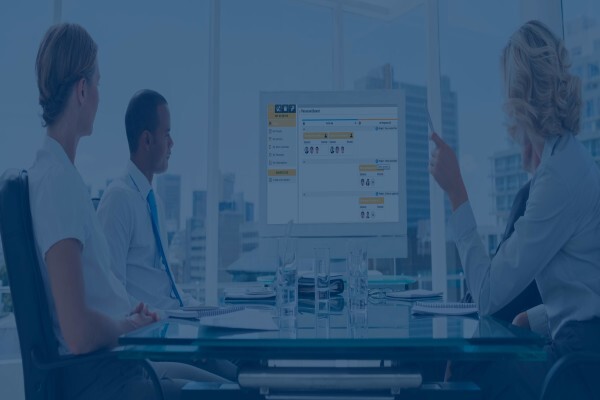 Virtual Project Consulting