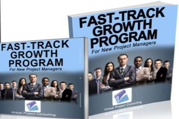 Virtual Project Consulting
