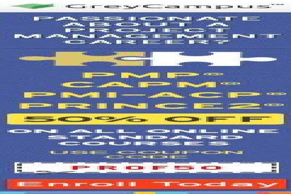 Virtual Project Consulting
