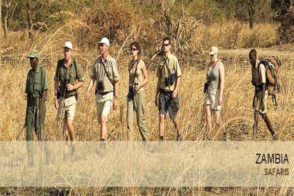 Tshokwane Safaris