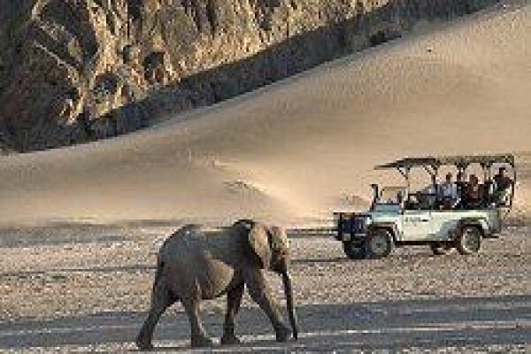 Tshokwane Safaris