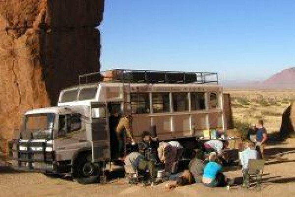 Tshokwane Safaris