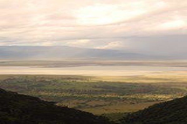 Tshokwane Safaris