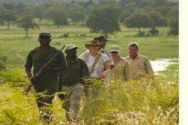 Tshokwane Safaris