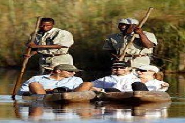Tshokwane Safaris