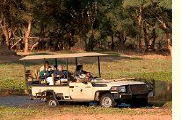 Tshokwane Safaris