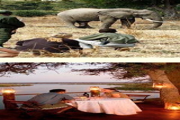 Tshokwane Safaris