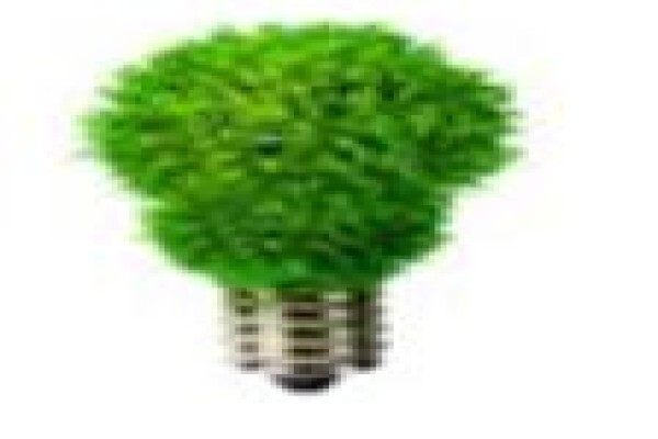 Umgani Led Lighting