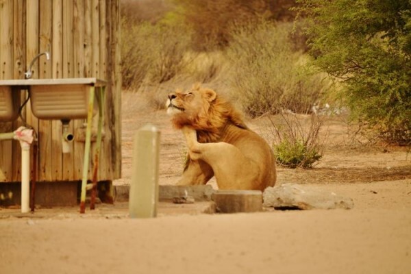 Umkulu