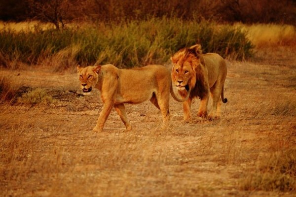 Umkulu