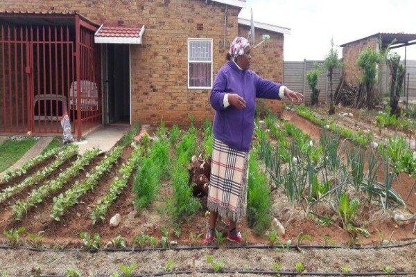 Umsizi