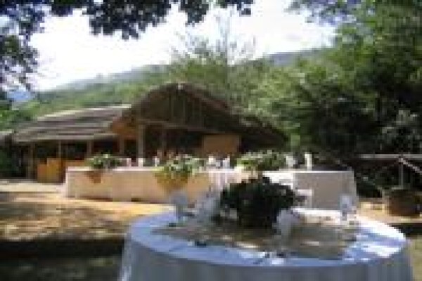 Under The Marula