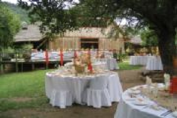 Under The Marula