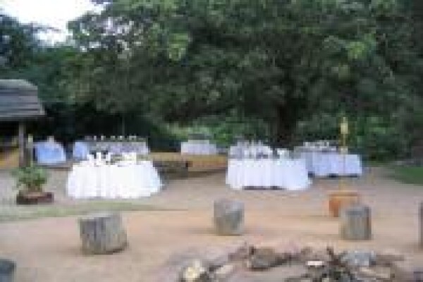 Under The Marula