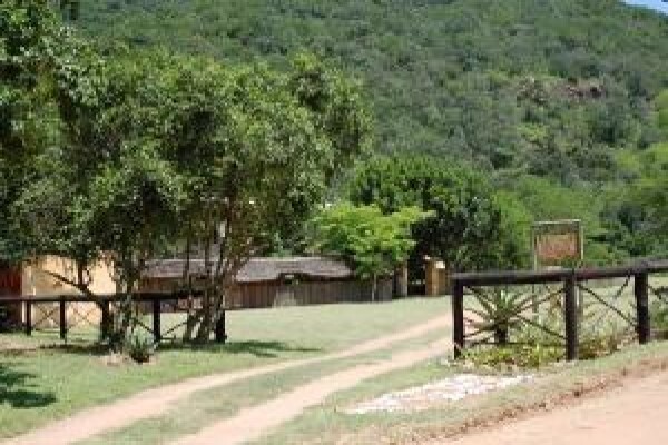 Under The Marula