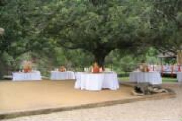Under The Marula
