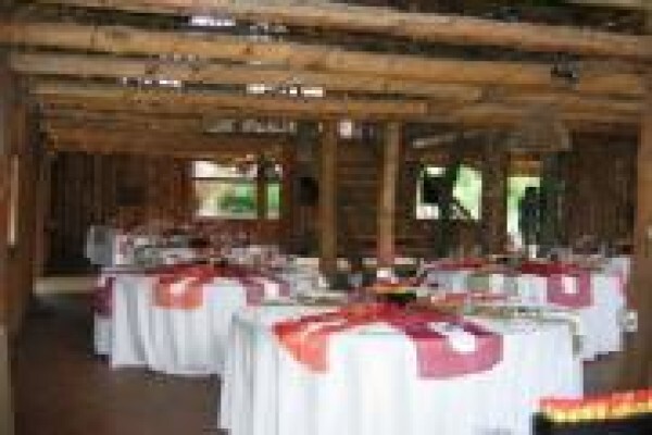 Under The Marula