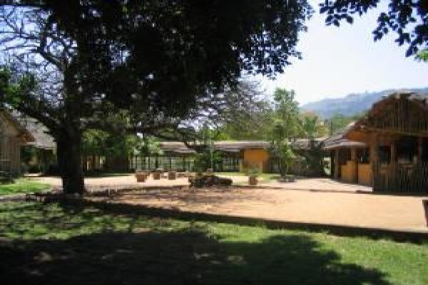 Under The Marula