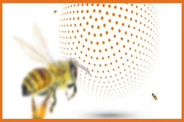 Unite 4 Malaria - Dr. Ockert Pretorius