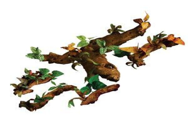 United Reptiles Cc