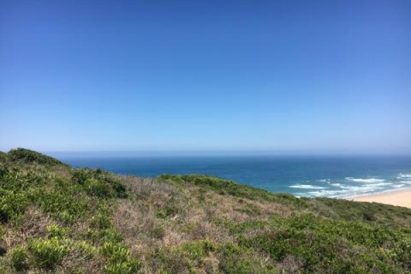 Wweco-Route Environmental Consultancy