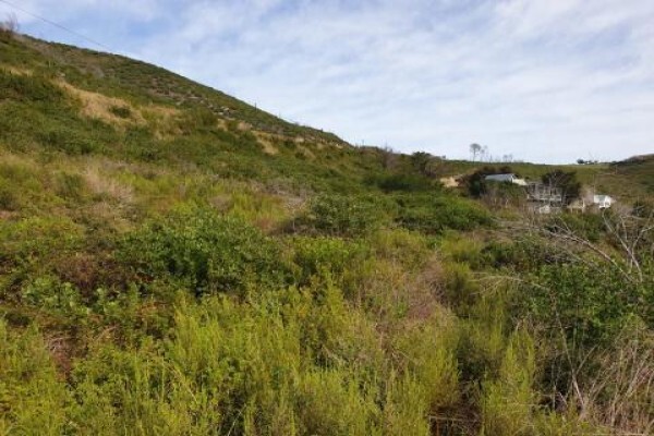 Wweco-Route Environmental Consultancy