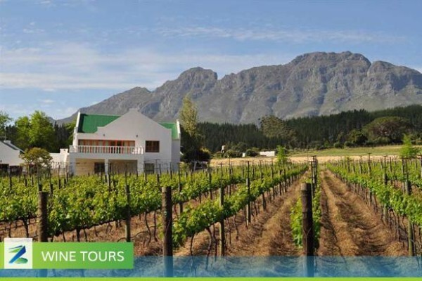 Zippy Tours