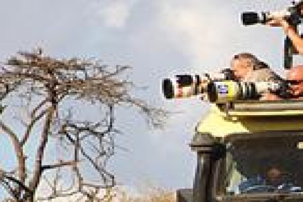Zippy Tours