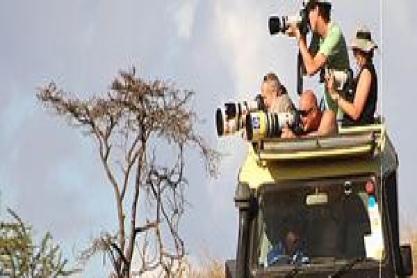 Zippy Tours