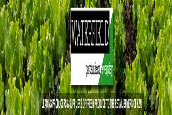 Waterfield