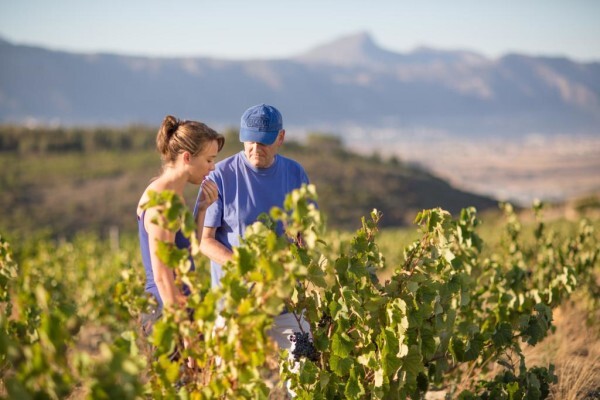 Waterkloof Wines