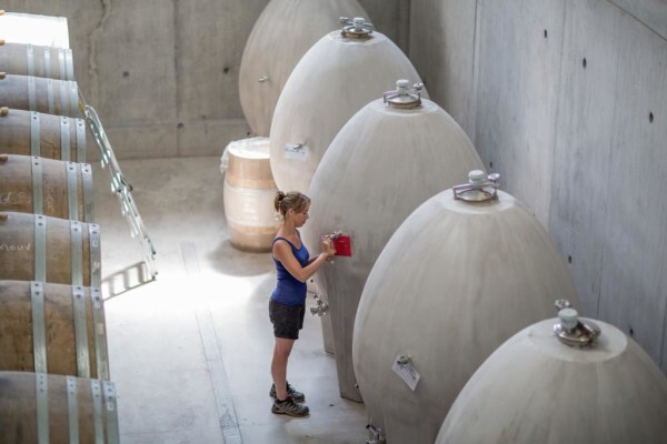 Waterkloof Wines