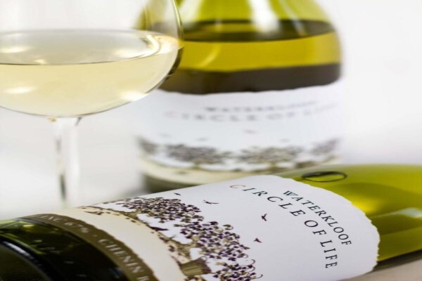 Waterkloof Wines