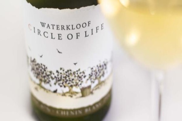 Waterkloof Wines