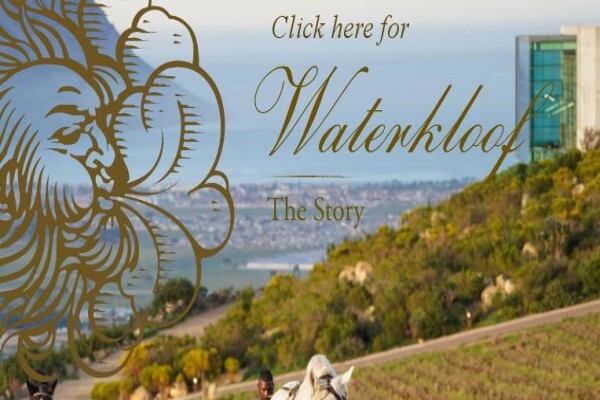 Waterkloof Wines