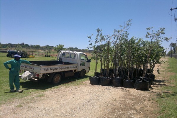 Wild Route Environmental Consultants