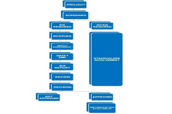 Wild Route Environmental Consultants