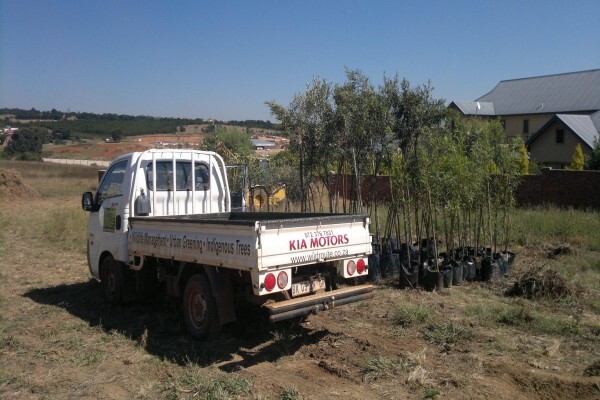 Wild Route Environmental Consultants