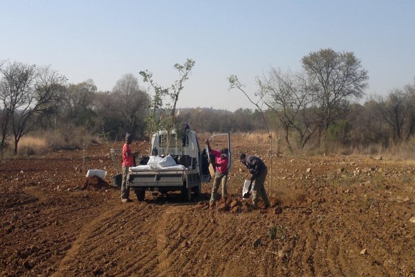 Wild Route Environmental Consultants