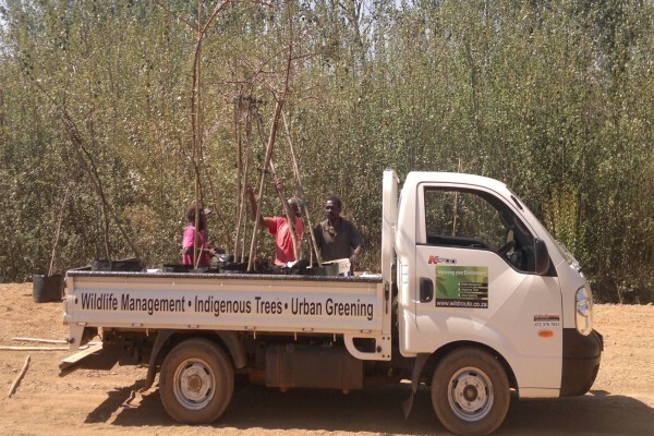 Wild Route Environmental Consultants
