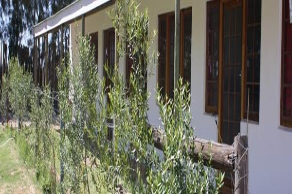Windstone Boarding Kennels