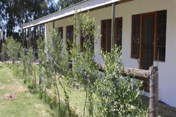 Windstone Boarding Kennels