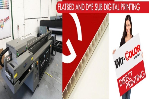 Wit-Color Digital Printing