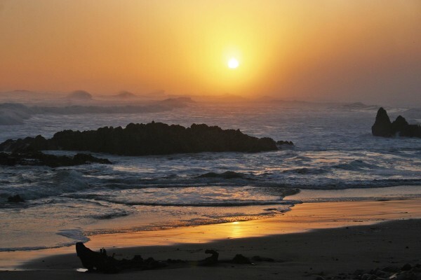 Christie Botha Properties